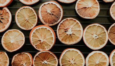 a bunch of oranges that are on a rack