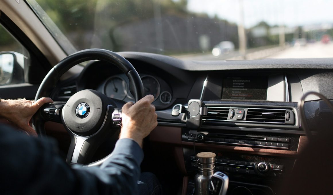 person holding BMW steering wheel