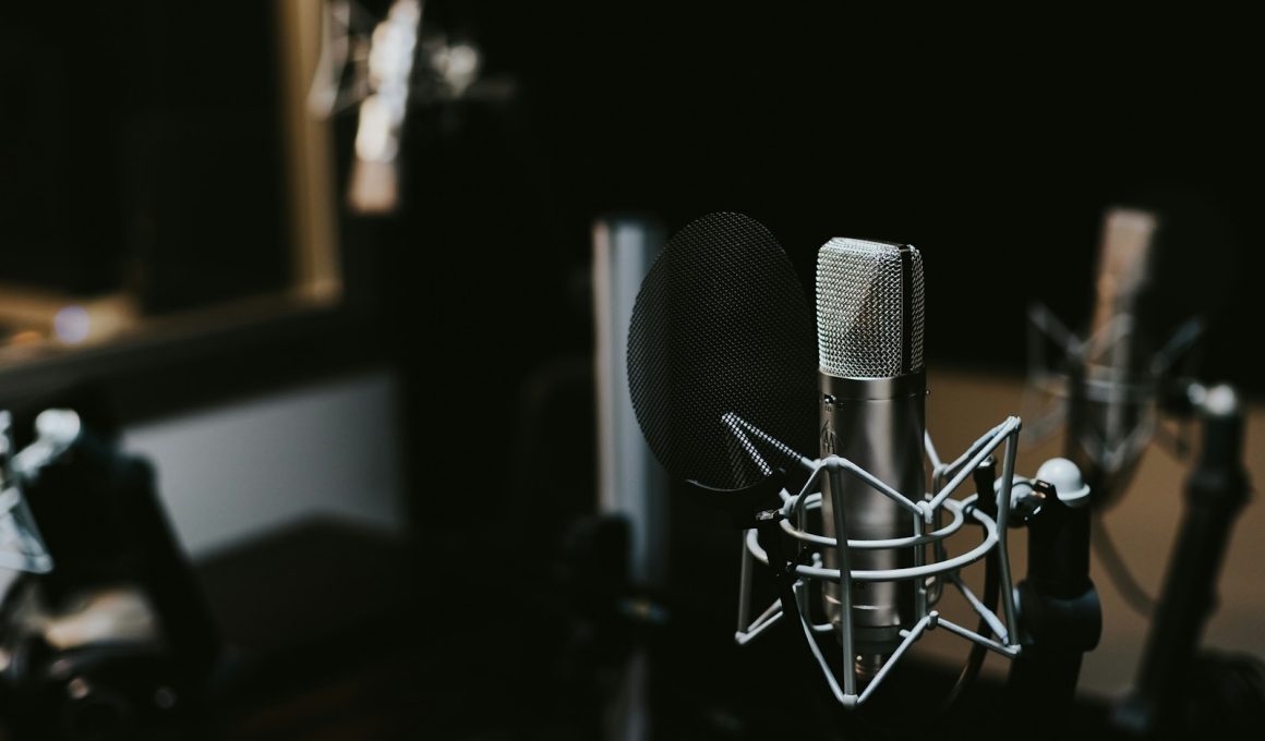 macro photography of silver and black studio microphone condenser