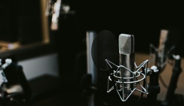 macro photography of silver and black studio microphone condenser