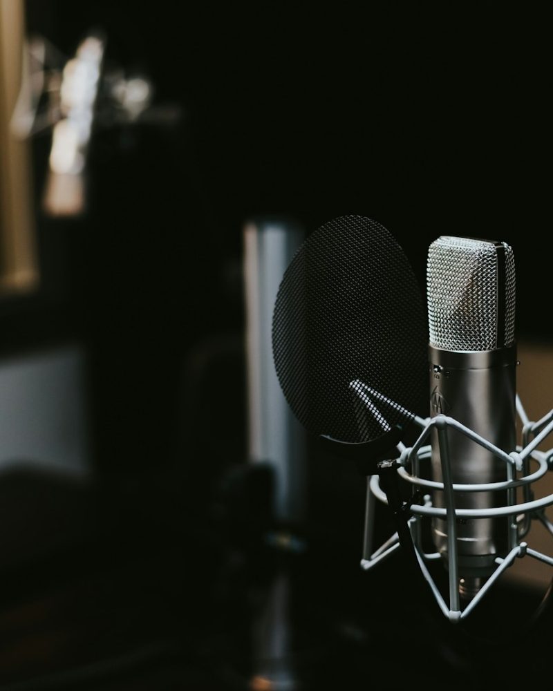 macro photography of silver and black studio microphone condenser