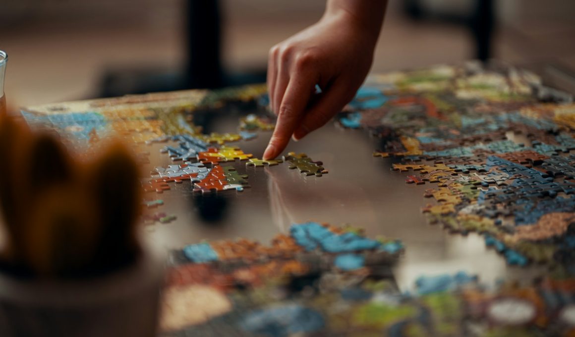 person holding jigsaw puzzle piece